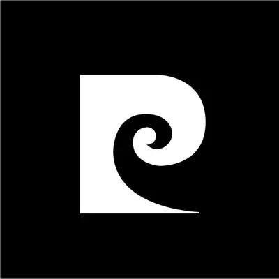 Pierre Cardin label