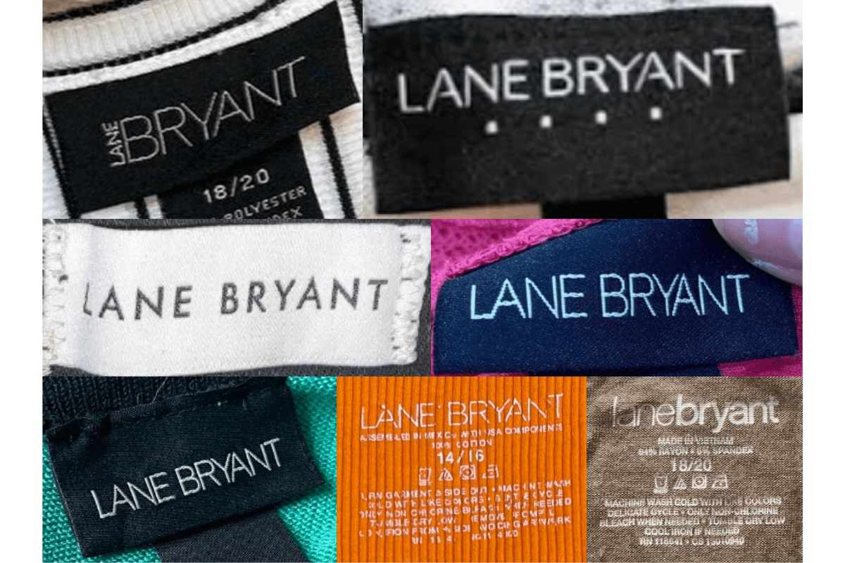 2000s vintage Lane Bryant tags label