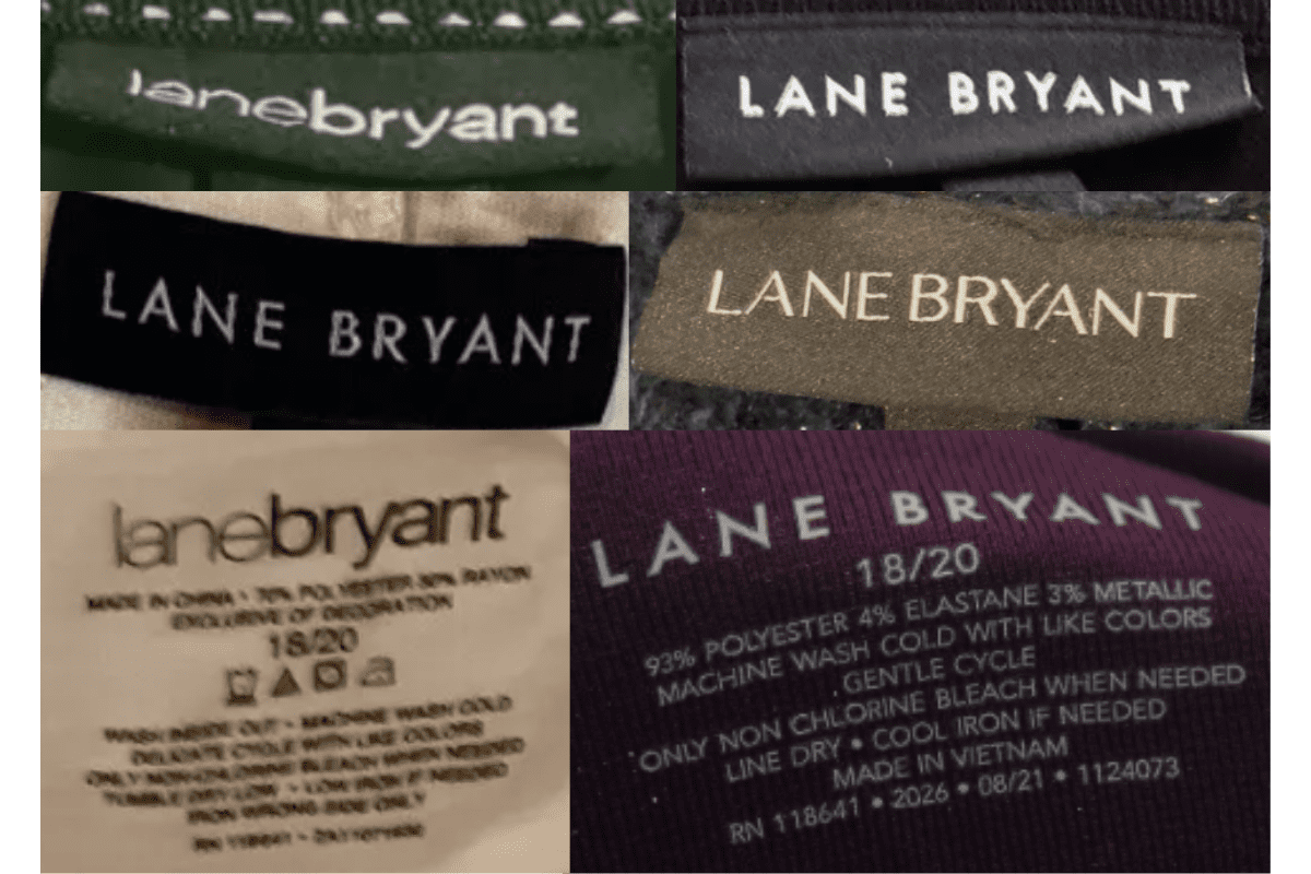 2010s vintage Lane Bryant tags label